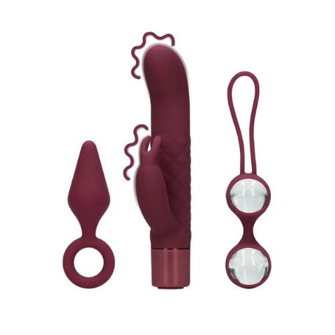 Loveline (S)explore Toy Kit for Her Dark Cherry from Nice 'n' Naughty