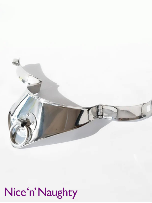 Nice 'n' Naughty The Cleopatra Locking Collar Stainless Steel from Nice 'n' Naughty