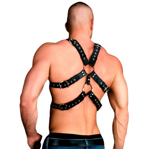 Ouch! Andres Male Harness Black from Nice 'n' Naughty